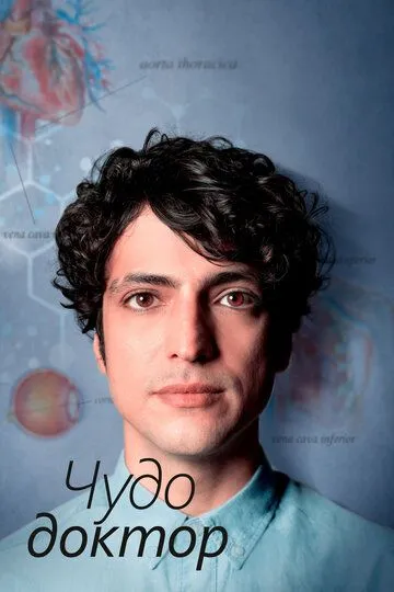 Чудо-доктор (сериал 2019) смотреть онлайн бесплатно