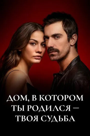 Дом, в котором ты родился – твоя судьба (турецкий сериал) все серии подряд смотреть онлайн