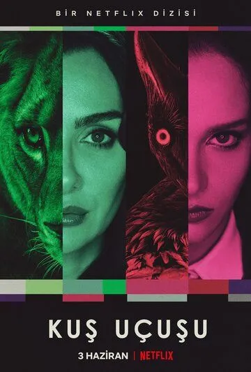 Полёт птицы (сериал 2022) смотреть онлайн бесплатно